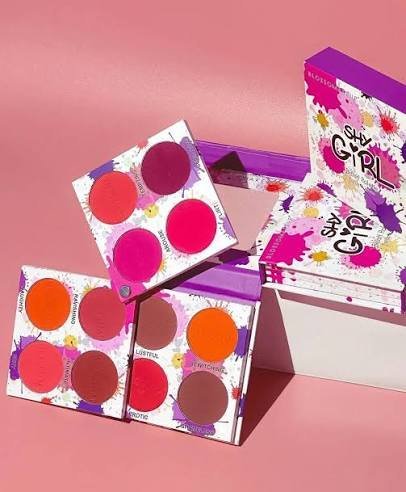 Blossom Makeup Shy Girl Blush Pallete
