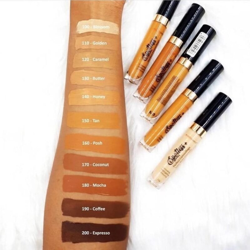 Blossom Makeup Spotless Matte Concealer 12g