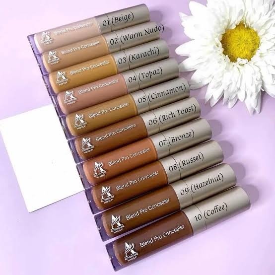 Adventure Makeup Blend Pro Concealer